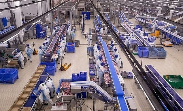 Открылся крупнейший в Европе завод по переработке индейки