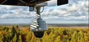 видеокамеры охраняют лес