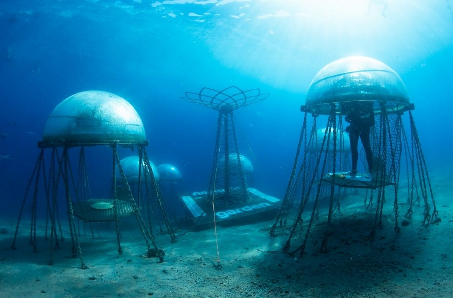 подводный огород в Италии