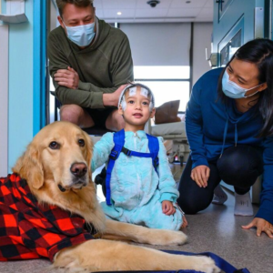 собака и ребенок в больнице