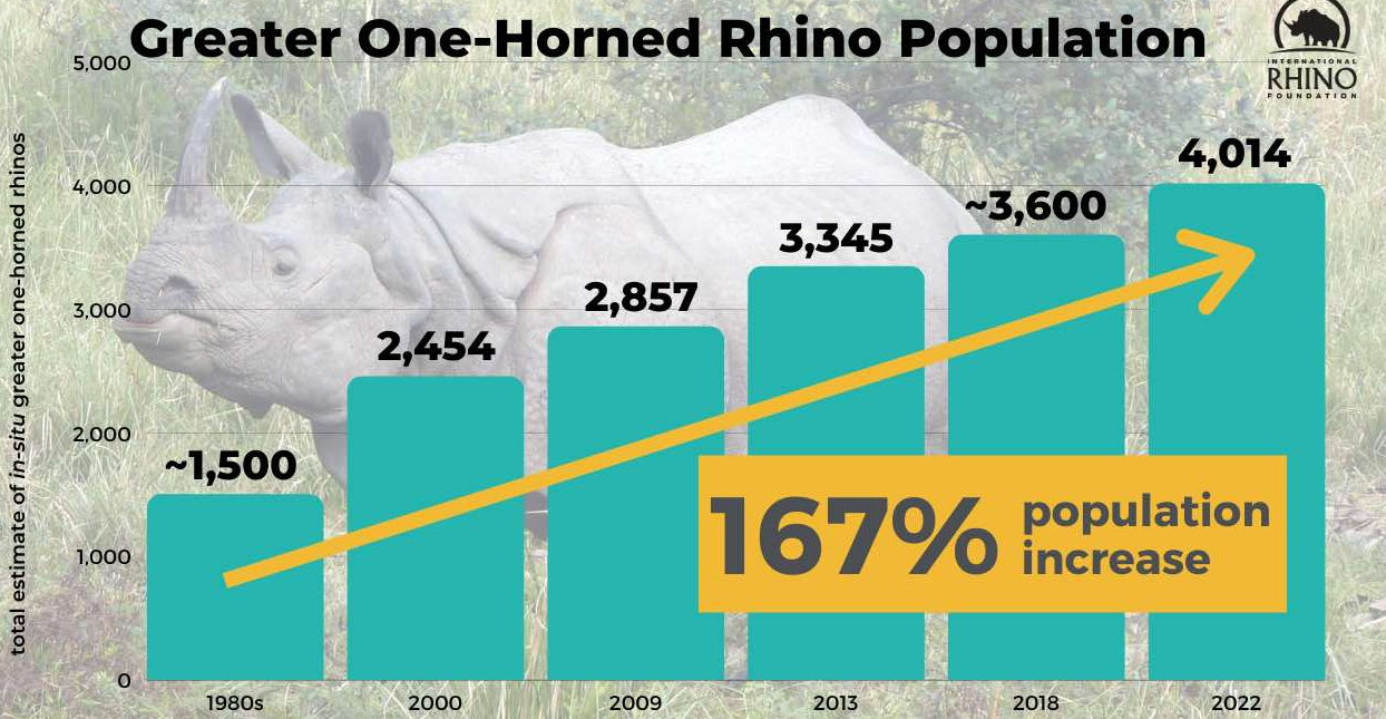 Популяция индийского носорога график